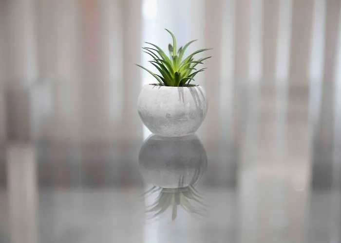 Flat 1, Spacious 3 Bedroom Near Beaches And Countryside Διαμέρισμα *